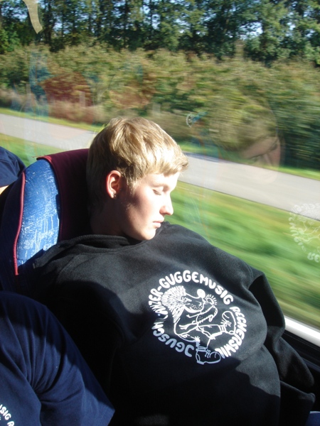 DSC00672.JPG - ...s'Blüemli isch am Verwelke...(oder het öpper gschisse?)