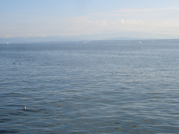 CIMG1339.JPG - ...wider uf hoher See - geits los i neui Abentür...