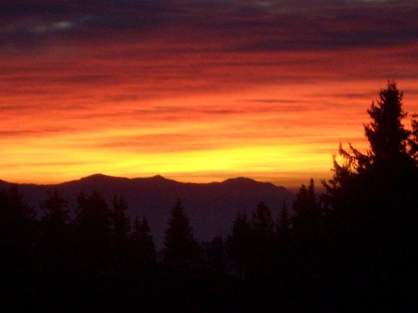 CIMG1437.JPG - ...Bänzebache in der "Lenk(k) im Obersimmelthal"...