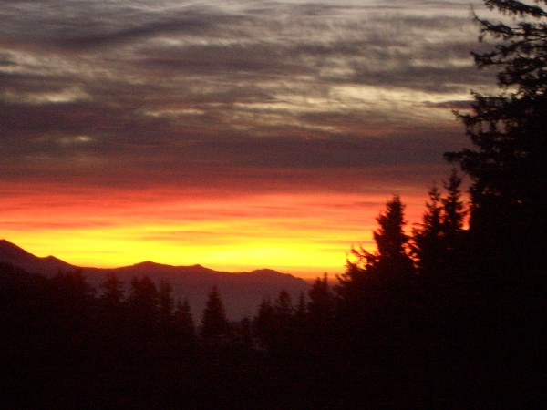 CIMG1440.JPG - ...no es letscht ufbäume...