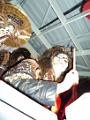 SAM_0091