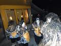 SAM_0288